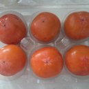 효성팜 | 효성팜 청도반시 내돈내산 후기 당도 확 올라온 날!