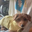 (주)에이펙스아카데미 | 25 11 24