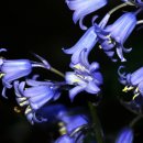 오늘하루가 이미지