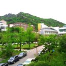 서울대학교 이미지