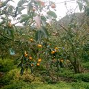 달빛민박 이미지