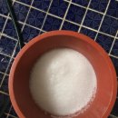 월드크리닝하우스 이미지