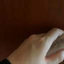 프로이멕스 이미지