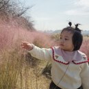 숲속향기생태어린이집 | 안양 어린이집 옥스포드숲 어린이집 가을소풍