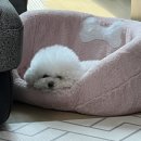 #1 포토 덤프 였던 #3 포토덤프