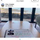 스테이 매기 이미지