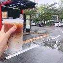 [아쉬탕가 요가일기] 몸의 균형