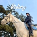 UR(화성시)-[서해로]-상-1 | 화성 승마장 권스테이블, 살방한 외승 나들이