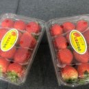 초한의원 이미지