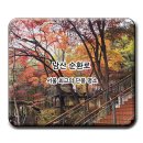 순환로3 | 남산 순환로 - 서울 최고의 단풍명소