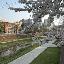비룡초등학교 | 안성 산책로 추천 [르무통서포터즈]