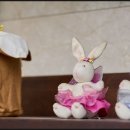 펫오케스트라 반려동물장례식장 이미지