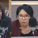 사이비 언론인 김어준과 주제파악도 못하는 변호사 노영희 이미지