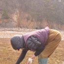 삼봉민박 이미지