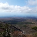 의귀새마을금고 이미지