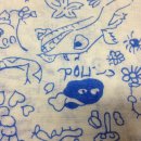 프란다스애견 이미지