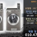 꽃대나리로 이미지