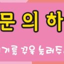 착한애견 이미지