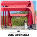대마도여행 이즈하라 히타카츠 셔틀버스 미라클 링크패스 후기