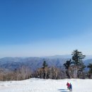 탐여행사