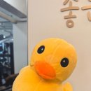 칼로리 소모 높은 헬스삼대운동 : 성신여대 PT 운동조아짐!