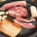 다복돼지 네이버블로그