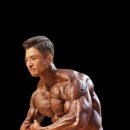 팀 뉴비짐 이미지