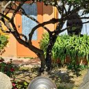 원대황토민박 | 한국기행 여름 쉬어가기 충주 촌캉스 민박 펜션 정보 알아보기