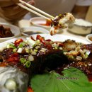 양지민박 이미지