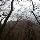 생이소리 이미지