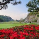 (주)나래항공여행사 이미지