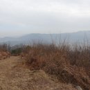 의금산(105m).빙고산(65m).보양산(176m).비금산(167m).신방산(193m)&사방산(155m).와등산(142m)/경북김천 이미지