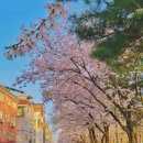 함박뫼로 이미지