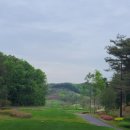 영동 일라이트CC 이미지