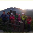 멍멍하니? 이미지