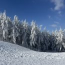 감나무목장 이미지