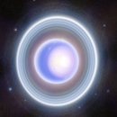 CW-1300-01 이미지