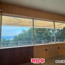 포그니스테이
