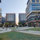 아브뉴프랑 옐로우 이미지