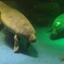 대구에 바다가 생겼어요! 얼라이브 아쿠아리움 대구 이미지