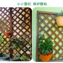 낮은정원 이미지