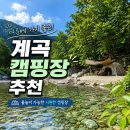 영월 계곡캠핑장 '예다움캠핑장' 후기(명당자리, 계곡 수위, 개별 샤워실, 텃밭 체험)