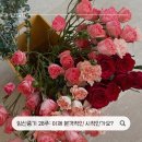 현대백화점 판교점 압소바 | 28주차 임신일기: 본격적인 임신의 어려운 시기 시작?