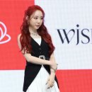 연정라이브 이미지