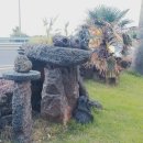 누리힐링하우스 이미지