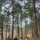 무주덕유산 독일가문비나무숲(3) 이미지