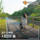 풍녹지 | 춘천 시민의 숲 물놀이장 주차 산책로 완벽정리
