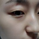 오일굳 | [공지] 미스트 추천 데일리바이 제라늄모이스처미스트 고보습 오일미스트 후기