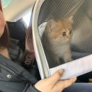 햇살가득동물병원 이미지