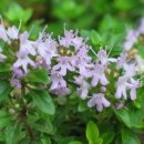 삼산농장 이미지